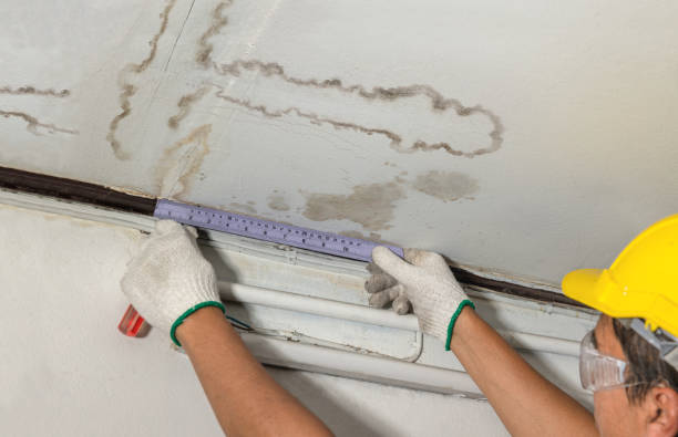 Reliable Water Damage contractor in Waltham, MA by Water Damage Irwin